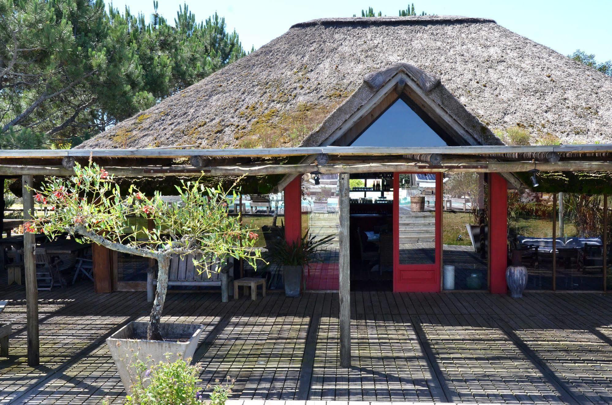 Hotel Casa Suaya José Ignacio Zewnętrze zdjęcie